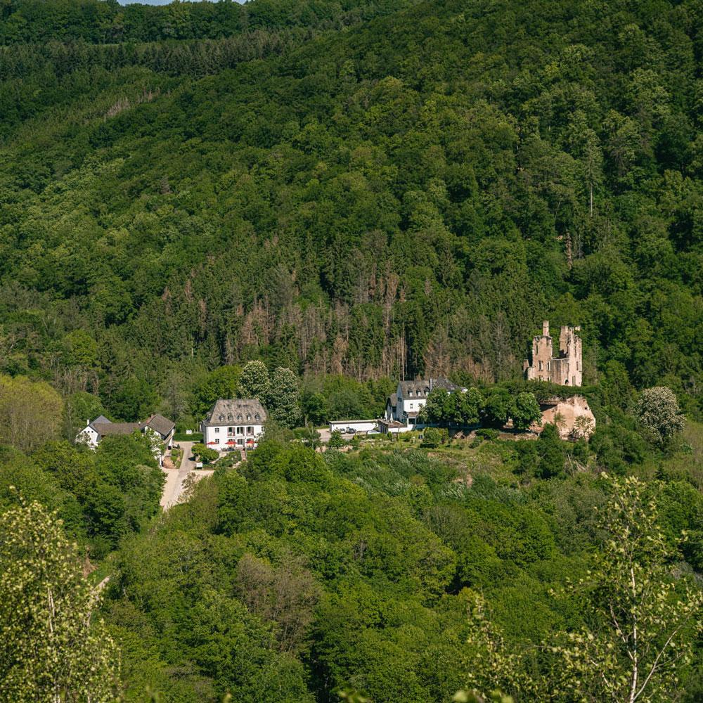 Wandern bei der Burg Ramstein - Villa Vontenie